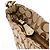 Coach Borsa a tracolla hobo floreale Beige Gold F16879 - vista 11