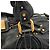 Chloé Borsa a tracolla Paddington in pelle nera - vista 7