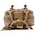Chloé Borsa a tracolla Paddington in pelle beige - vista 4