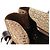 Coach 6427 Borsa Tote Soho Signature Beige Brown - vista 18