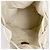 Borsa a spalla Loewe Sailor Anagram Design - vista 10