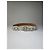 Céline Vintage Celine Leder Sulky Buckle Gürtel Späte 1970s–1990s White Silver - Ansicht 5
