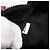 PRADA Waist Bag Nylon Black Silver - vista 11