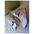 Sneakers alte Gucci Basket - vista 12