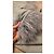 Autre Marque Vestido Blazer Jaded Rose Roselyn con Plumas - Soft Grey - vista 2