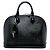 Borsa a mano Louis Vuitton Electric Epi Alma PM Nera