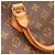 Louis Vuitton Speedy 30 Monogram Canvas - vista 12