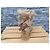 UGG Stivali Bailey Bow Marrone Oro Misura 38 - vista 3