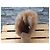 UGG Stivali Bailey Bow Marrone Oro Misura 38 - vista 5