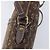 LOUIS VUITTON Monogram Mini Lin Danube Shoulder Bag Ebene M95228 LV - vista 9