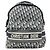 Christian Dior Dior Oblique Canvas Backpack