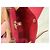 Hermès Herbag 31 Borsa in Canvas Rosso e Pelle Naturale - vista 14