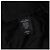 Autre Marque SAINT LAURENT Black Wool Bomber Jacket - view 5