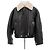 Acne Leder- und Shearling-Mantel