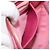 Miu Miu Shoulder Bag Leather Pink Gold - vista 25