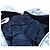 Christian Dior Trotter Canvas Boston Bag PVC 2way Navy Silver - vista 25