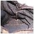 FENDI Zucca Canvas Hand Bag Black Brown - vista 20