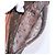 LOUIS VUITTON Monogram Orsay Clutch Bag M51790 LV - vista 20
