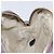 GUCCI Soho Shoulder Bag Leather Pink Gold Tone 308364 - vista 19