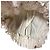 Autre Marque POU DOU DOU Culottes estampado Swan Lake - vista 4