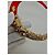 Alexis Bittar – Rotes Lucite & Kristall Choker Collier - Ansicht 15