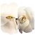 Spilla Corsage Camelia Chanel - vista 3
