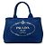 Borsa Tote Satchel Prada Small Canvas Canapa Logo Blu
