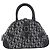 Christian Dior Trotter Double Saddle Canvas