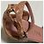 Prada Sandalen aus Pythonleder - Ansicht 12