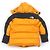 Abrigo de plumón Gore Tex THE NORTH FACE - vista 4