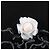 Camiseta de lana Chanel Camellia COCO - vista 9