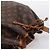 LOUIS VUITTON Monogram Noe Shoulder Bag M42224 LV - vista 6