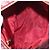Christian Dior Trotter Canvas Hand Bag Red Gold - vista 18