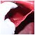 CHANEL Bolsa Vanity Caviar Skin Red Gold CC - vista 21