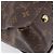 LOUIS VUITTON Monogram Pallas MM Hand Bag 2way Red M41175 LV - vista 16