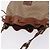 Céline CELINE Macadam Canvas Shoulder Bag PVC Beige Gold - vista 6
