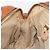 Chloé Chloe Paraty Hand Bag Leather 2way Beige Gold - vista 24