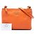 Prada Orange Vitello Phenix Double Zip Crossbody - Ansicht 7