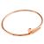 Braccialetto Charm Cartier Juste Un Clou Small SM - vista 6
