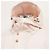 Moncler Genius Elias Nylon Down Coat - view 14