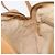 GUCCI Micro GG Supreme Web Sherry Line Bag PVC Beige 001 261 0942 - vista 20