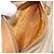 GUCCI Micro GG Supreme Web Sherry Line Bag PVC Beige 001 261 0942 - vista 22
