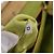 PRADA Chain Shoulder Bag Raffia Beige Gold Tone - vista 11