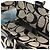 Coach Borsa Tote F17726 Grey Black Signature Canvas - vista 6