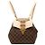 Louis Vuitton Brown Damier Ebene Clapton