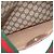 GUCCI GG Supreme Web Sherry Line Tote Bag PVC Beige Gold - vista 21