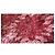 Falda Maje Hirondelle Rouge de Jacquard - vista 8