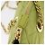 PRADA Chain Shoulder Bag Nylon LIme Green Gold Auth ka6808V - Jerrillo - vista 19
