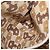 GUCCI Micro GG Canvas Shoulder Bag Nylon Outlet Brown Silver 257301 - vista 23