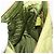 PRADA Bolsa de Ombro com Corrente Nylon Lime Green Gold - vista 23
